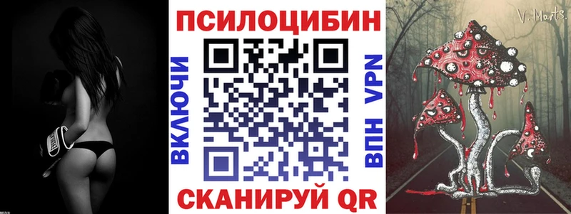 kraken рабочий сайт  Камызяк  Псилоцибиновые грибы Psilocybe 